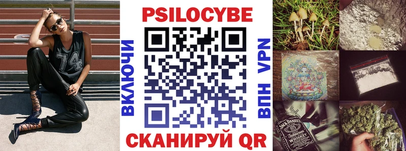 продажа наркотиков  ссылка на мегу вход  Псилоцибиновые грибы GOLDEN TEACHER  Каменск-Уральский 