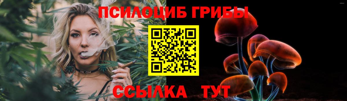 Каменск-Уральский  Галлюциногенные грибы мицелий  Вход с VPN  даркнет сайт  Галлюциногенные грибы Psilocybe 